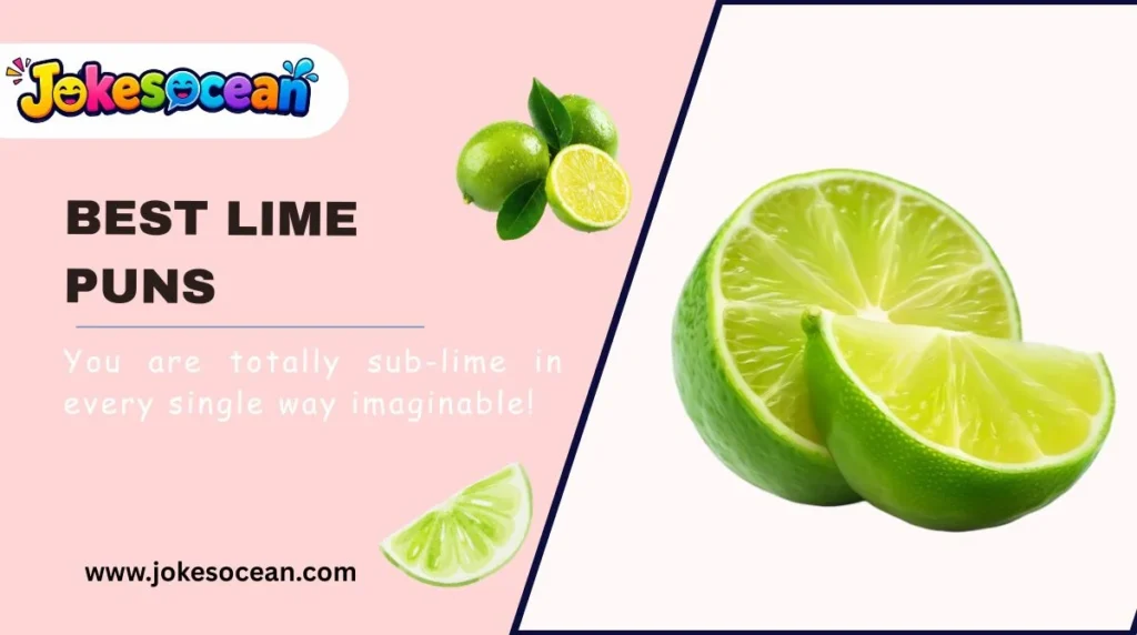 Best Lime Puns