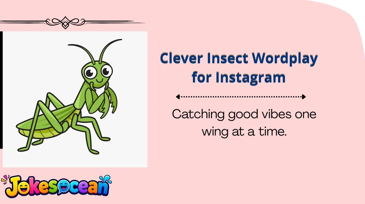 Clever Insect Wordplay for Instagram