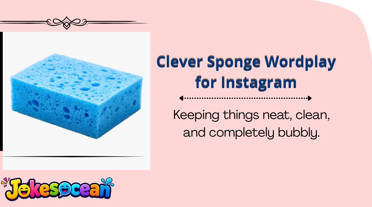 Clever Sponge Wordplay for Instagram