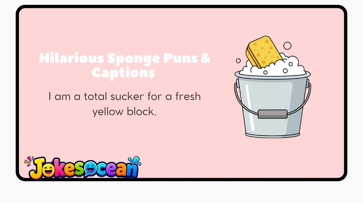 Hilarious Sponge Puns & Captions 