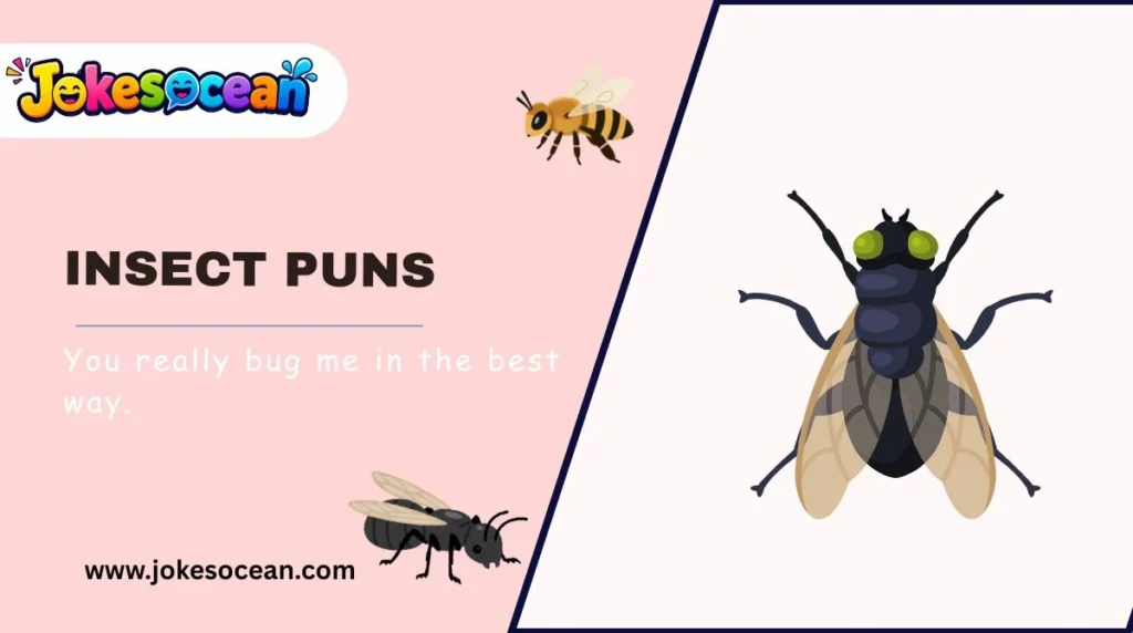 Insect Puns