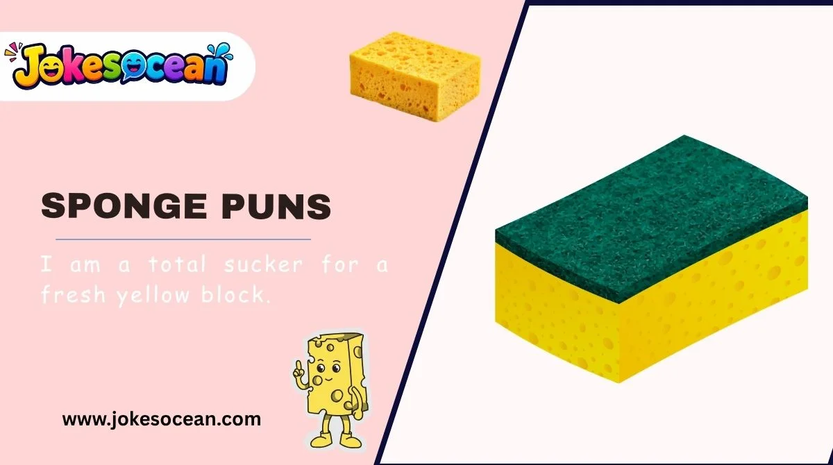Sponge Puns