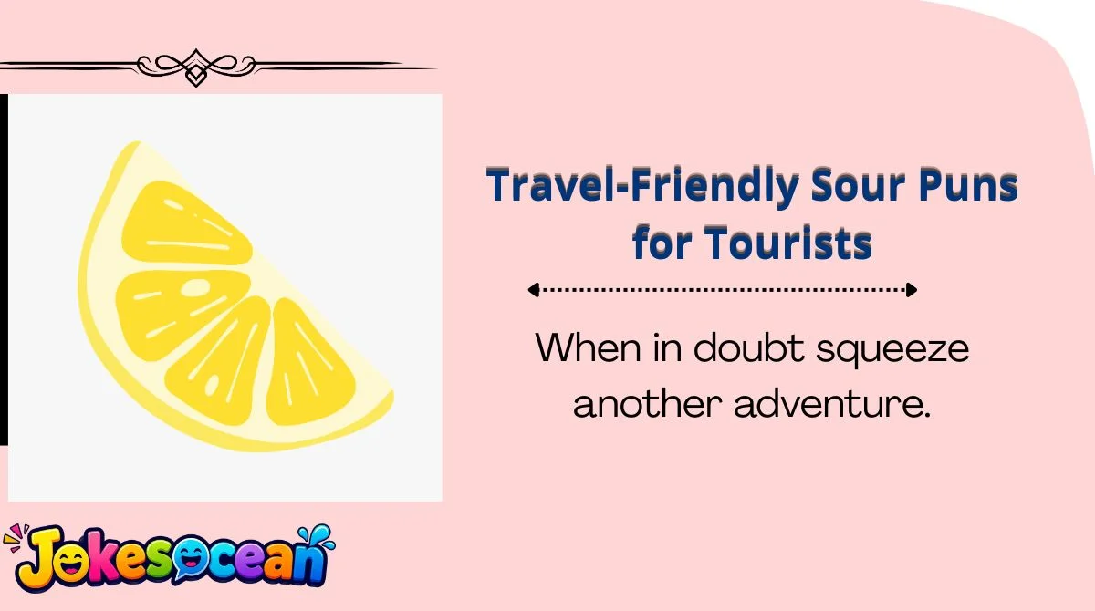 Travel-Friendly Sour Puns for Tourists