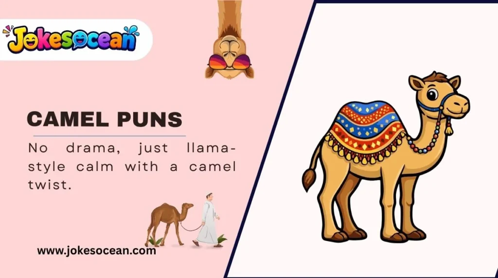 Camel Puns