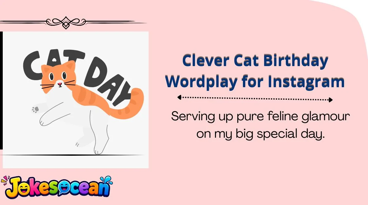 Clever Cat Birthday Wordplay for Instagram