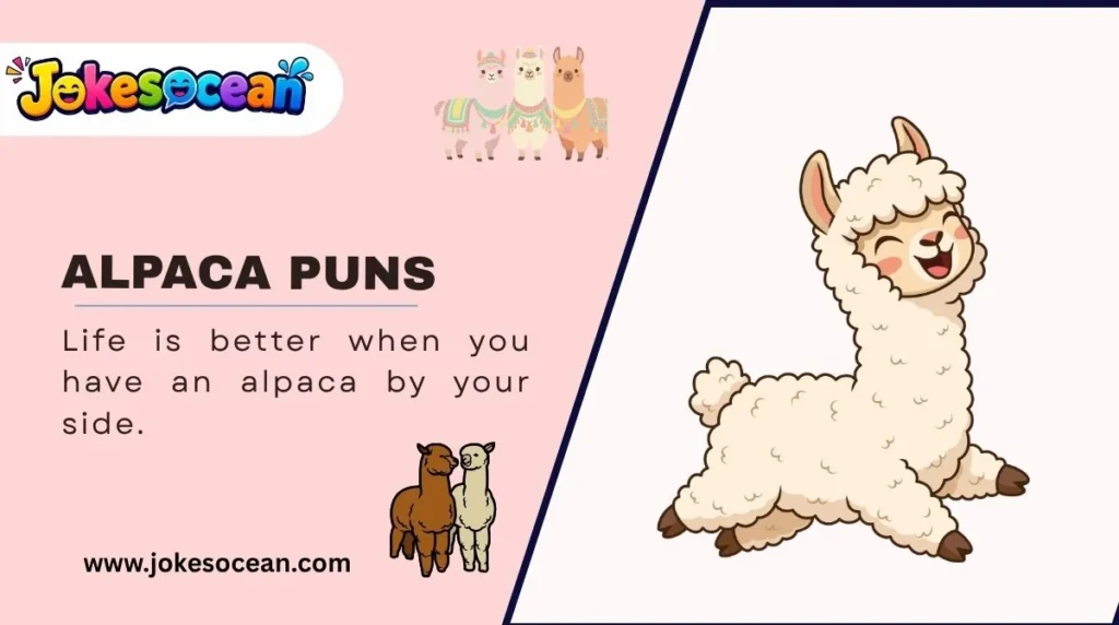 Alpaca Puns