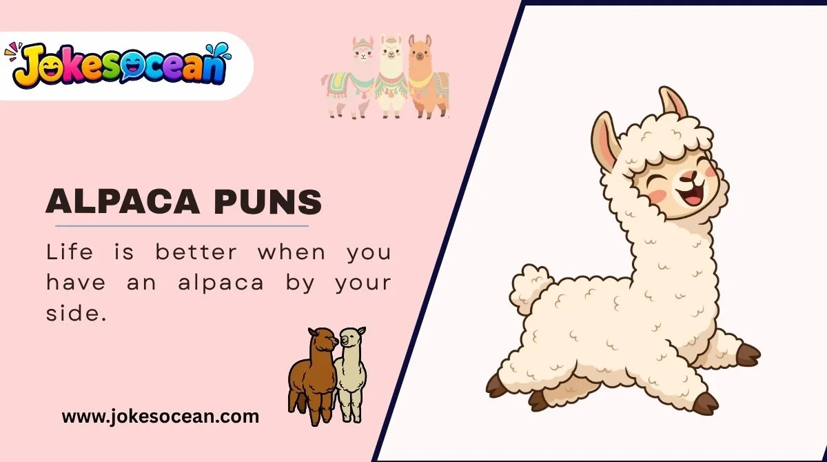 Alpaca Puns