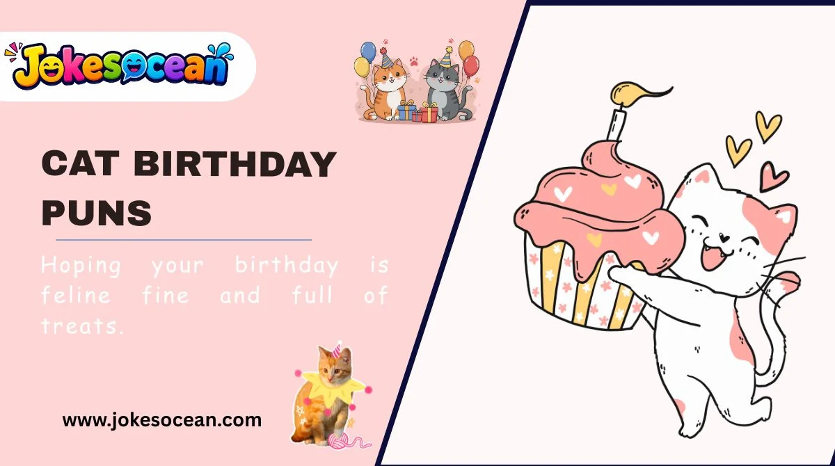 Cat Birthday Puns