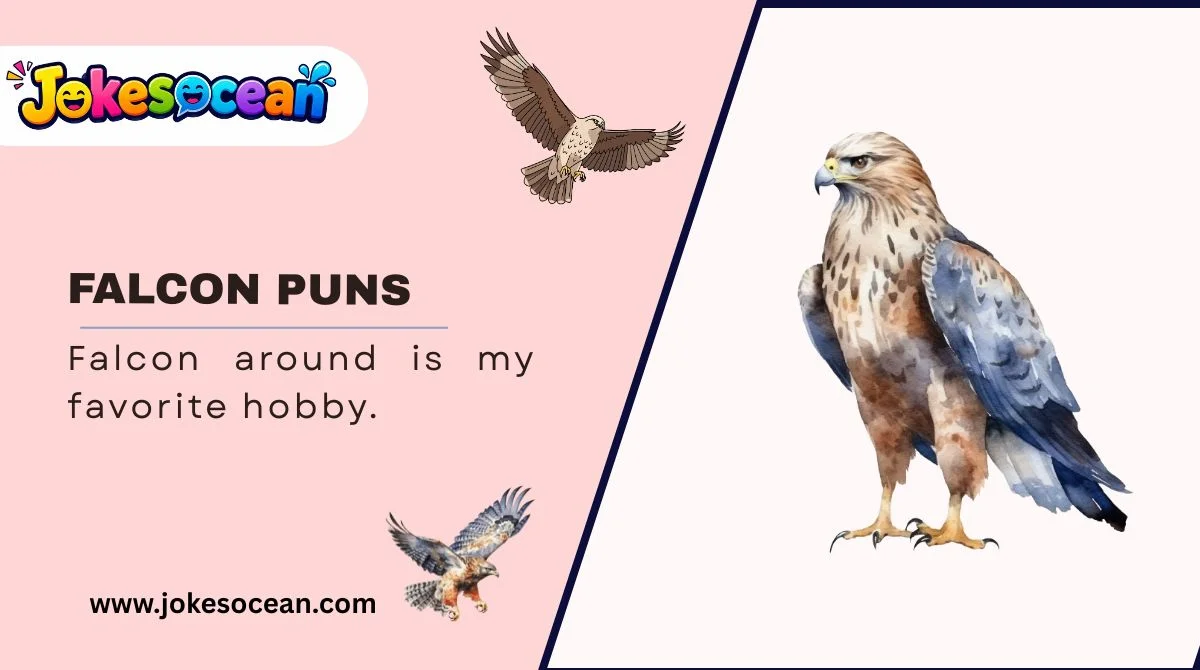 Falcon Puns