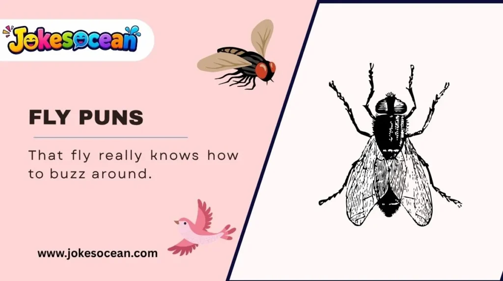 Fly Puns