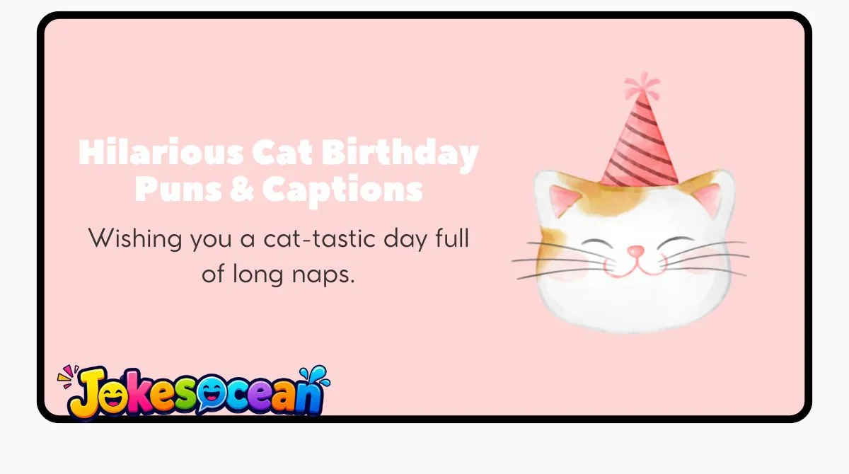 Hilarious Cat Birthday Puns & Captions