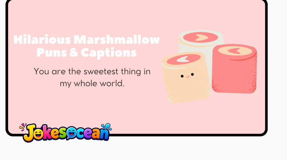 Hilarious Marshmallow Puns & Captions
