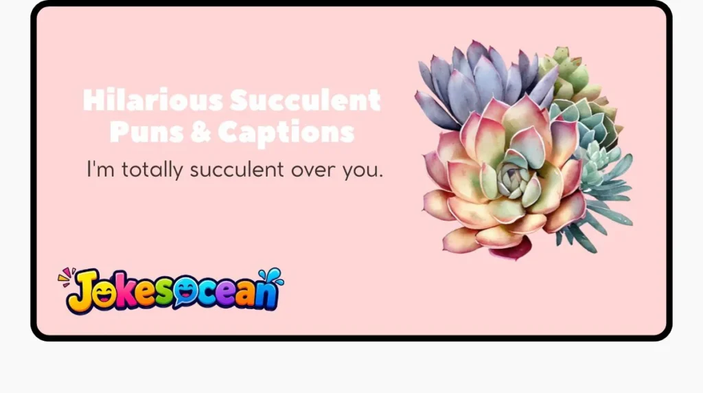 Hilarious Succulent Puns & Captions