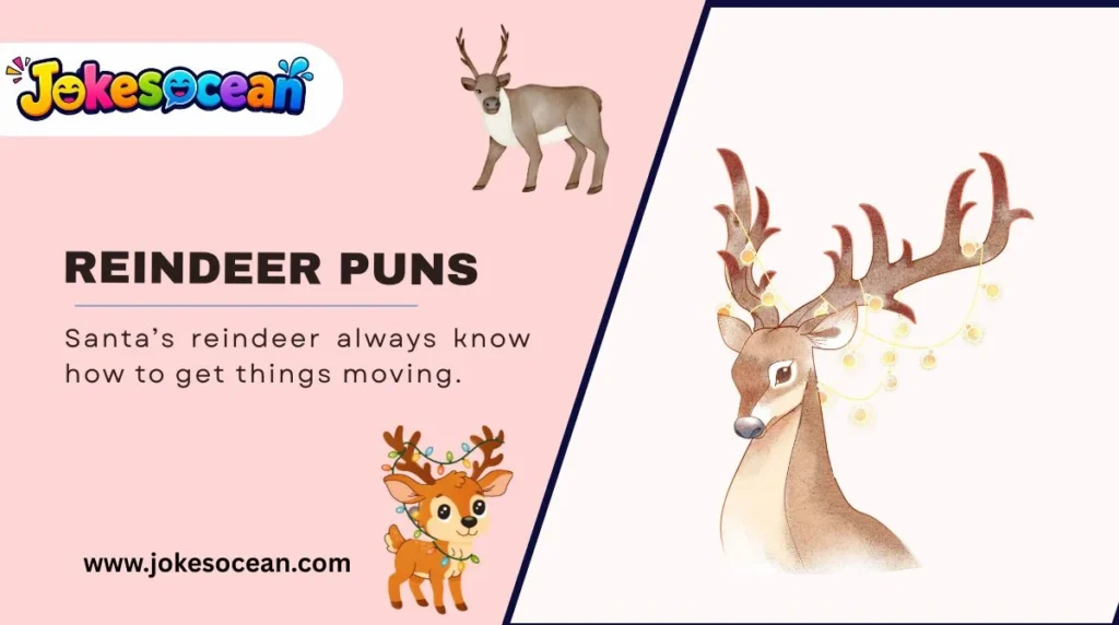 Reindeer Puns