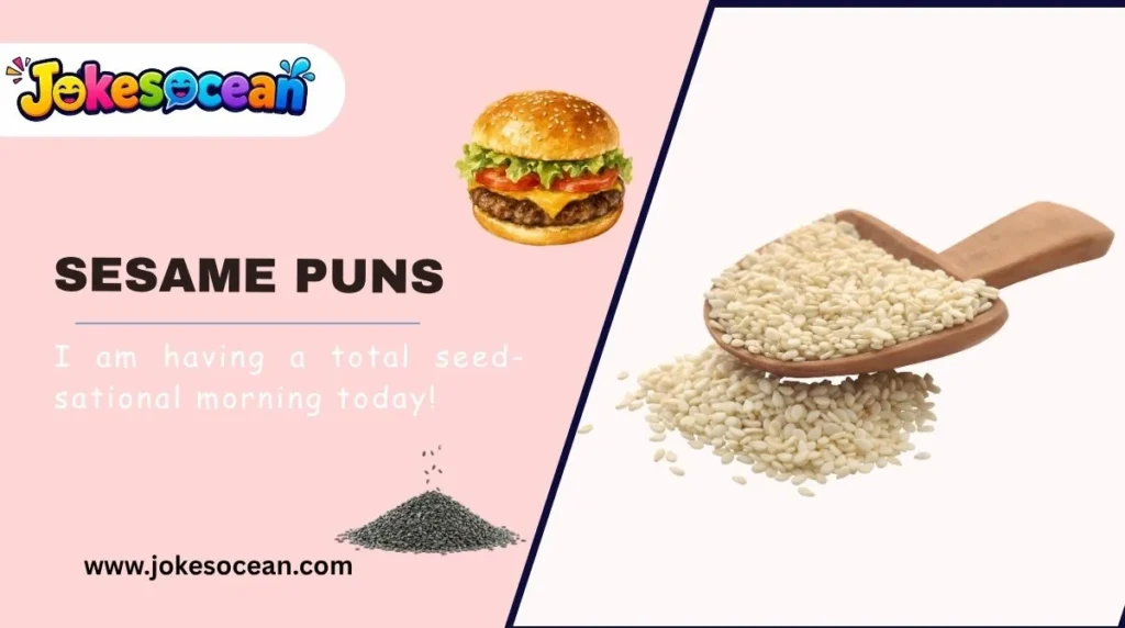 Sesame Puns