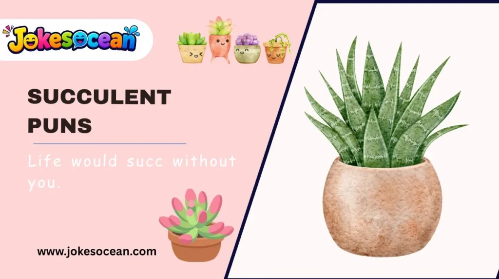 Succulent Puns