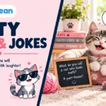Kitty Puns & Jokes