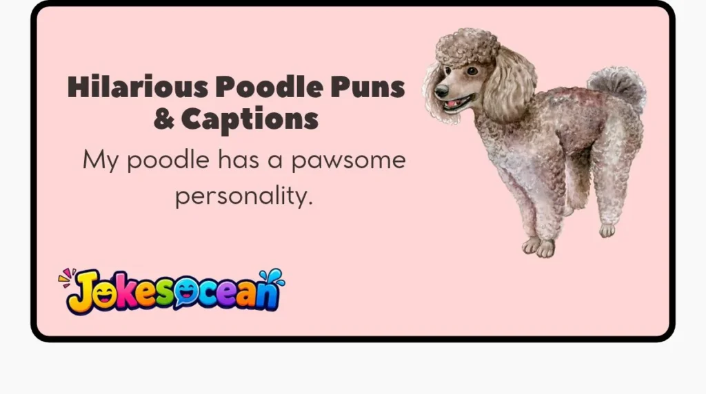 Hilarious Poodle Puns & Captions