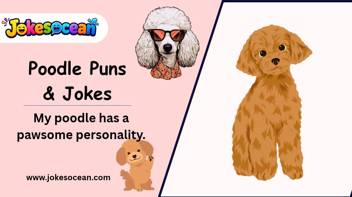 Poodle Puns & Jokes